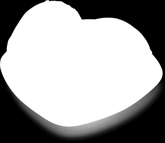 Orsi