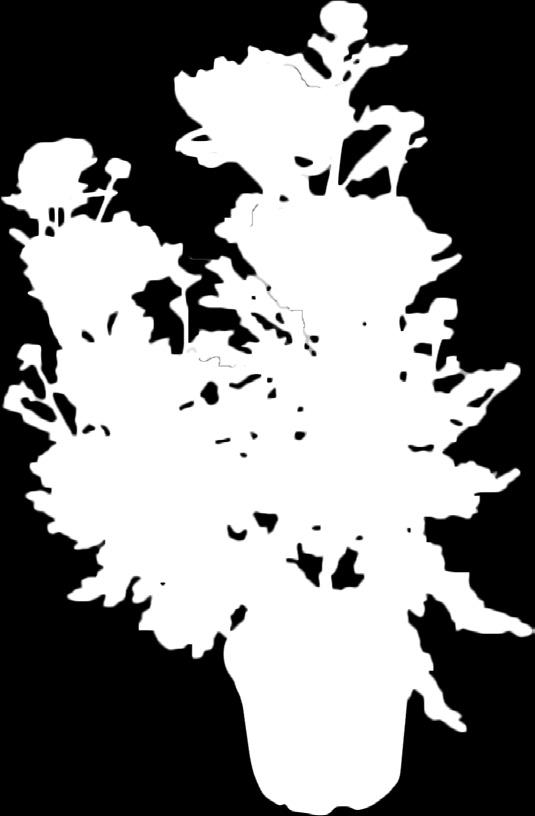 cserépben -40%