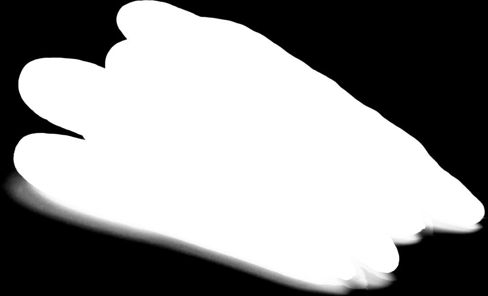 299 kg -33%