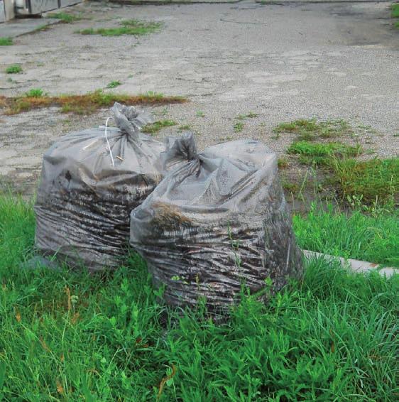 gyümölcsről jó lenne elmondani, hogy vegyszermentes és egészséges. Jó, ha tudjuk, a gombák és rovarok támadását nem csak mérgekkel lehet kivédeni.