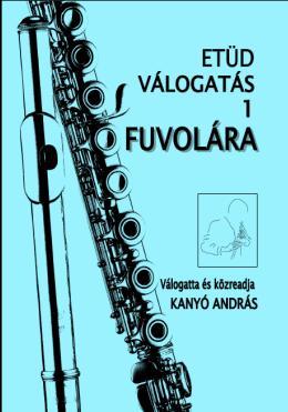 GAKORLATOK FUVOLÁRA, ETÜDVÁLOGATÁSOK = Tanítványaimnak készített tananyagok = 7 kötet, összesen 167 oldal, 366 gyakorlat A kottagrafika, válogatás metódusa, összeállítása az egyéni hangképzési