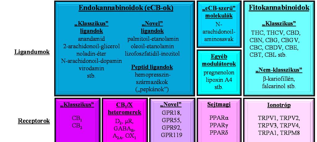 A KANNABINOID RENDSZER A JÖVŐ TERÁPIÁS LEHETŐSÉGEI 225 tornák, bizonyos szerotonin-, adenozin- és adrenerg receptorok, transzporterek stb.