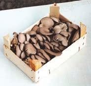 egységár/kg Édes hagyma 600 g 448, 03