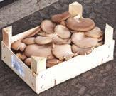 67 439,- 878,- Sonka hagyma 500 g 377,
