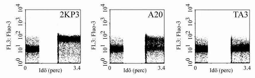 Amint az a 4.1.1 ábrán látható, a három különböz APS eltér mértékben alakított ki kapcsolatot az IP12-7 sejtekkel.