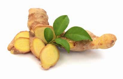 dietǎ Ghimbirul Original din Asia, ghimbirul este atât condiment, cât și leac. Ghimbirul face parte din familia Zingiberaceae, împreună cu cardamomul, curcuma și galangalul.
