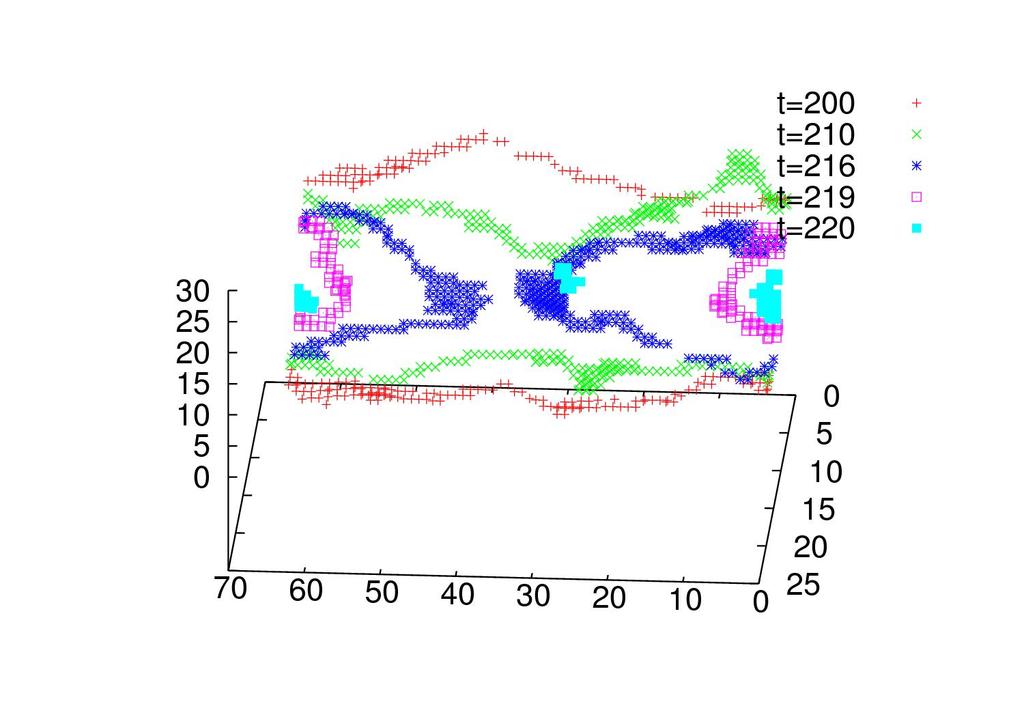 Topológikus konfigurációk keltése: Vortexek Nielsen-Olesen vortexek Higgs-tér zérushelyeinek