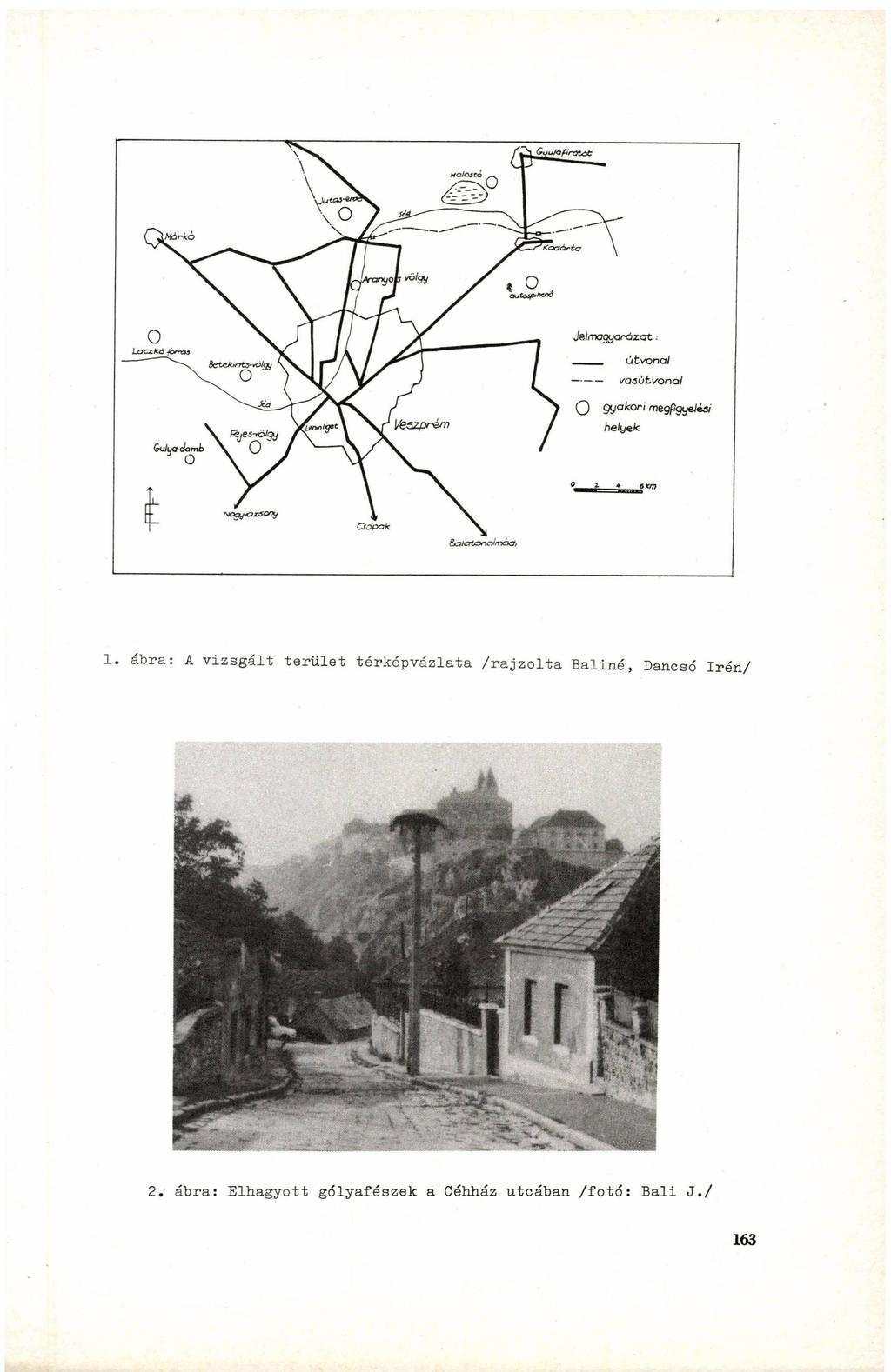 1. ábra: A vizsgált terület térképvázlata /rajzolta Baliné, Dancaó