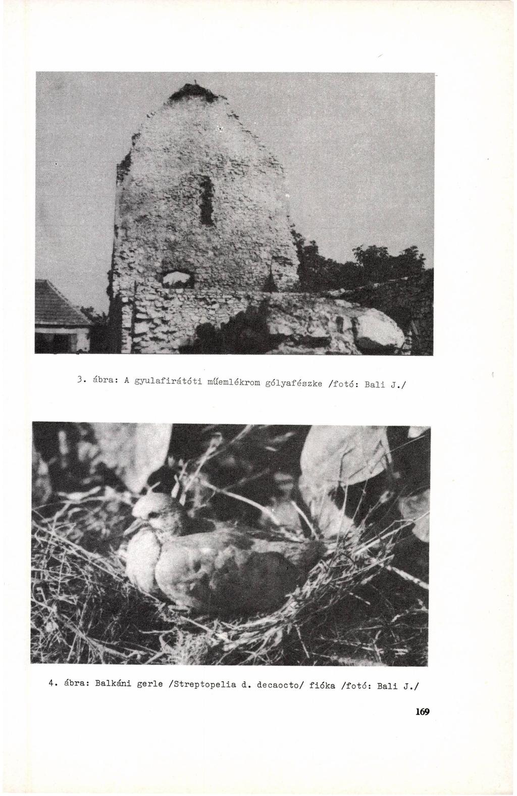 3. ábra: A gyulafirátóti mííemlékrom gólyafészke /fotó: B a l i J. / 4.