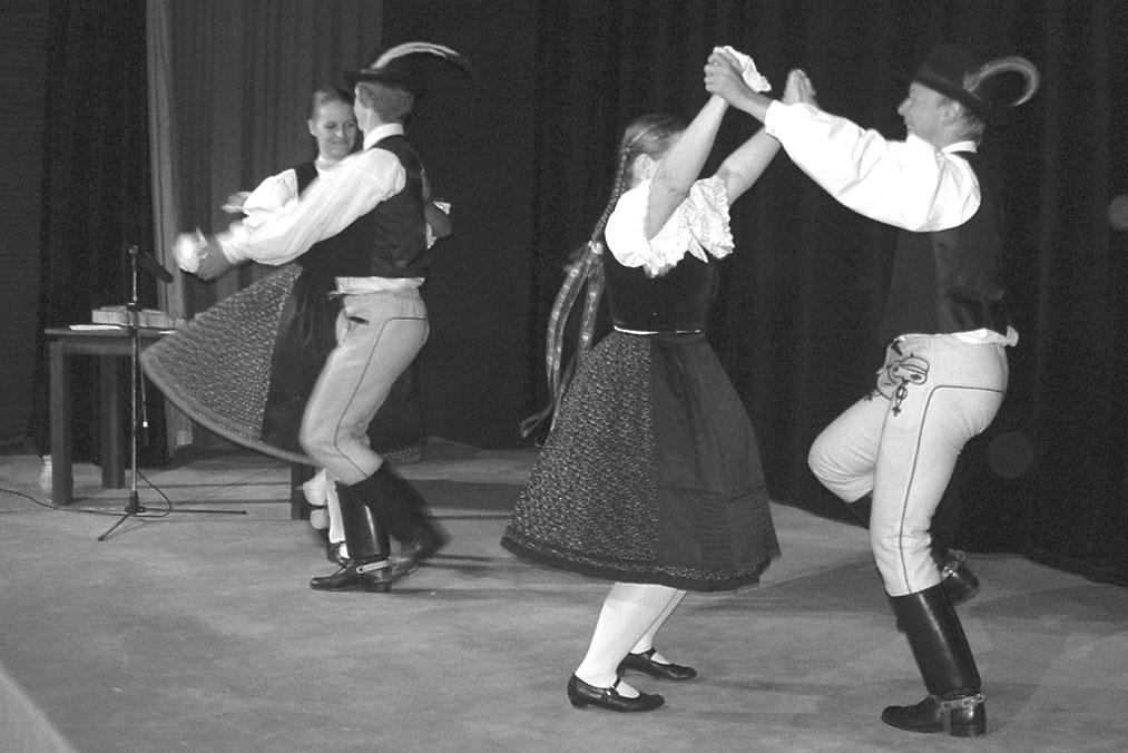 väèšine sú to výšivky rôznych národopisných oblastí Maïarska (na hlavnom mieste výšivky zo slovenských kožuchov), pletené prútie a keramika so zelenou glazúrou.