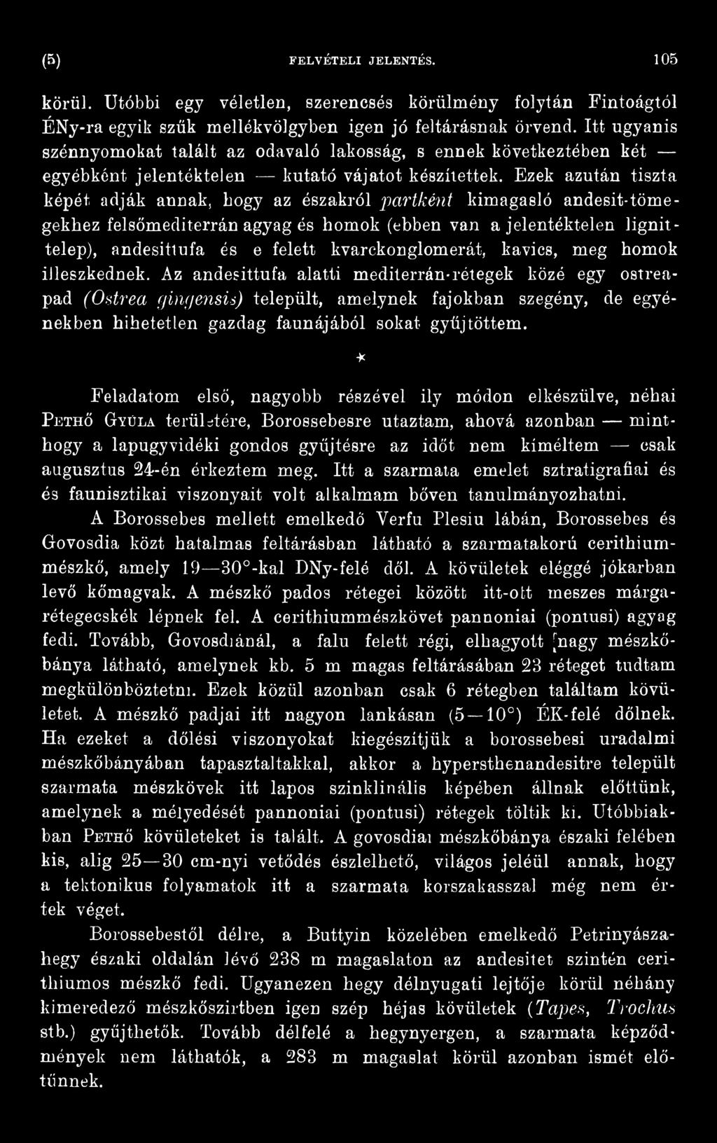 Az andesittufa alatti mediterrán-rétegek közé egy ostreapad (Ostrea gingensis) települt, amelynek fajokban szegény, de egyénekben hihetetlen gazdag faunájából sokat gyűjtöttem.