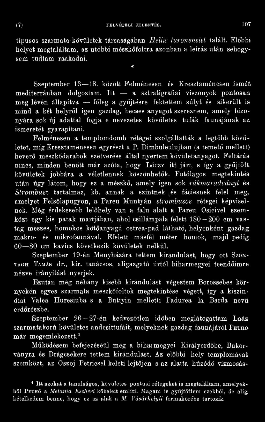 Itt a sztratigrafiai viszonyok pontosan meg lévén állapítva főleg a gyűjtésre fektettem súlyt és sikerült i& mind a két helyről igen gazdag, becses anyagot szereznem, amely bizonyára sok új adattal