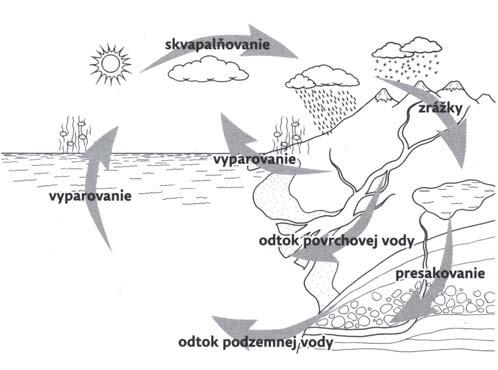 Pracovný list k aktivite: KOLOBEH VODY V PRÍRODE Ako vzniká rieka? Ako to, že teraz prší a odkiaľ prišla tá voda? To sú Dunajkove otázky, na ktoré by chcel poznať odpoveď.