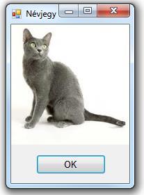 private void button1_click(object sender, EventArgs e) Form2 adatbevitel = new Form2(); adatbevitel.startposition = FormStartPosition.CenterScreen; DialogResult dr = adatbevitel.