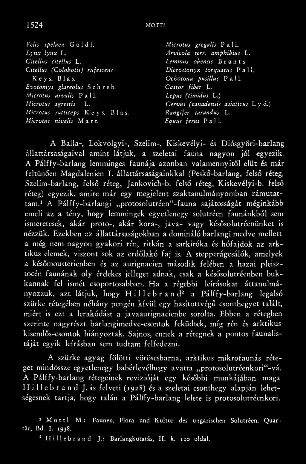 A Pálify-barlang lemminges faunája azonban valamennyitől elüt és már feltűnően Magdalenien I. állattársaságainkkal (Peskő-barlang, felső réteg, Szelim-barlang, felső réteg, Jankovich-b.