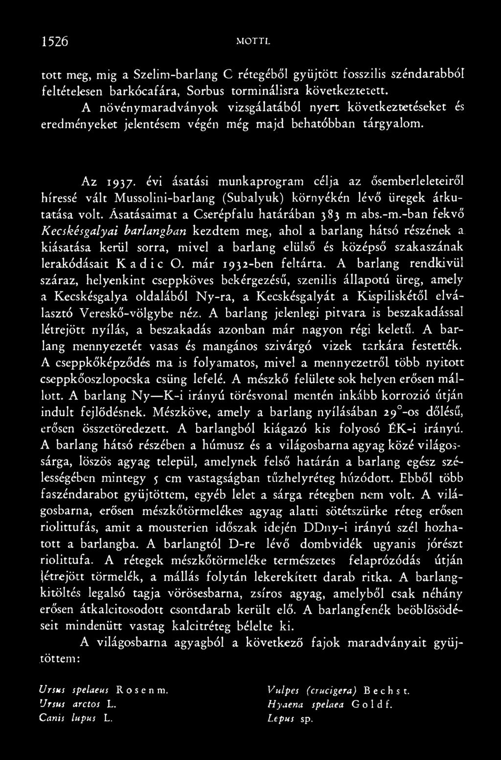 A barlang rendkívül száraz, helyenkint cseppköves bekérgezésű, szenilis állapotú üreg, amely a Kecskésgalya oldalából N y-ra, a Kecskésgalyát a Kispiliskétől elválasztó Vereskő-völgybe néz.