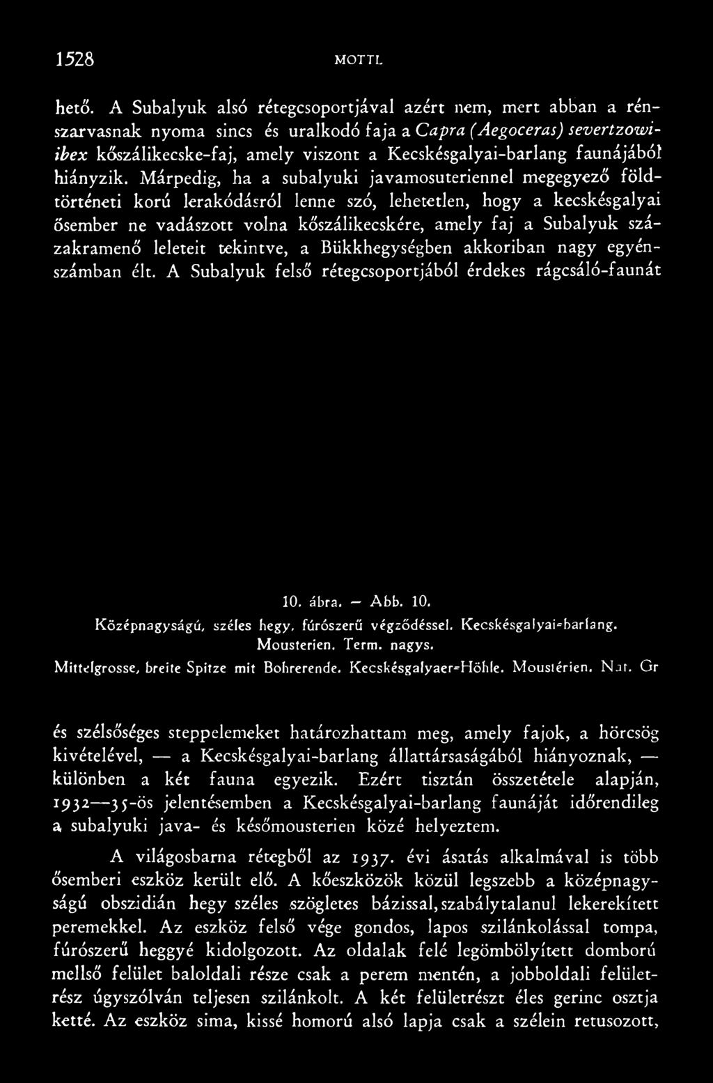 százakramenő leleteit tekintve, a Bükkhegységben akkoriban nagy egyénszámban élt. A Subalyuk felső rétegcsoportjából érdekes rágcsáló-faunát 10. ábra. Abb. 10. Középnagyságú, széles hegy, fúrószerű végződéssel.