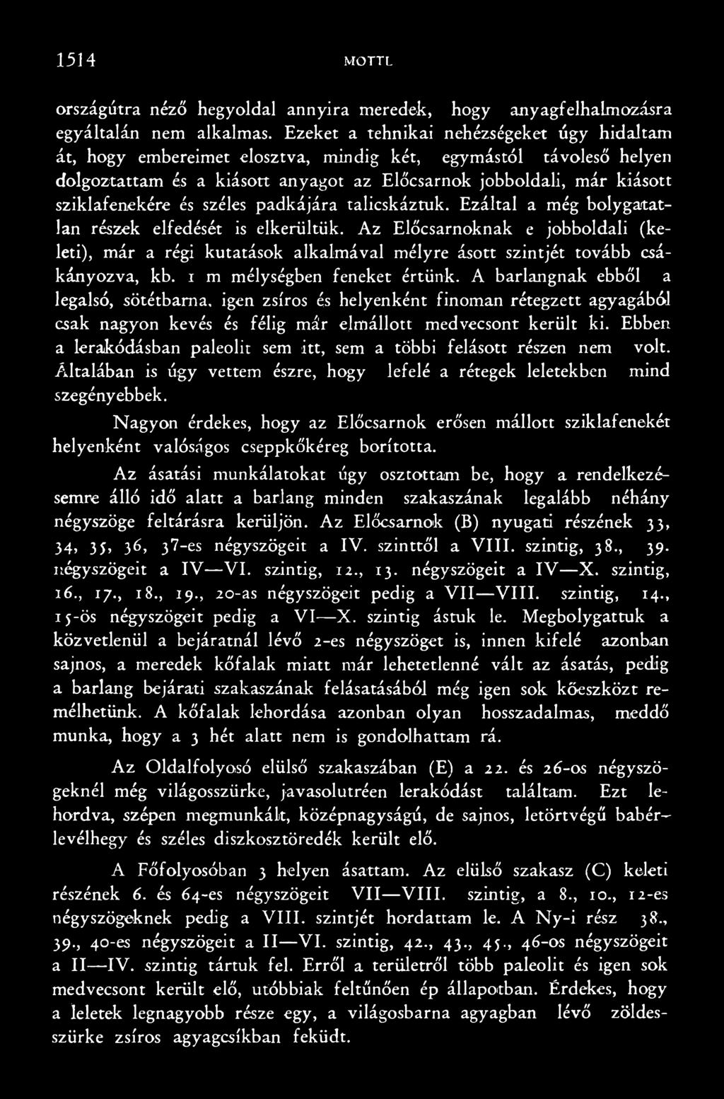 A barlangnak ebből a legalsó, sötétbarna, igen zsíros és helyenként finoman rétegzett agyagából csak nagyon kevés és félig már elmállott medvecsont került ki.