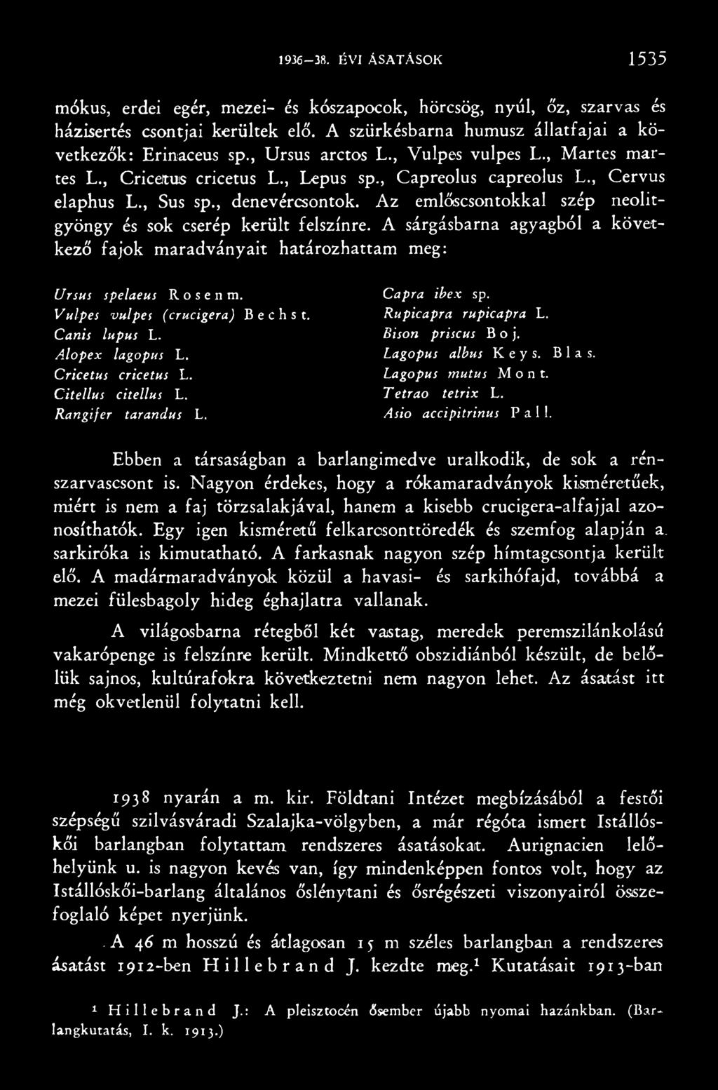 Lagopus albus Keys. Blas. Lagopus mutus Mont. Tetrao tetrix L. Asio accipitrinus Pali. Ebben a társaságban a barlangimedve uralkodik, de sok a rénszarvascsont is.