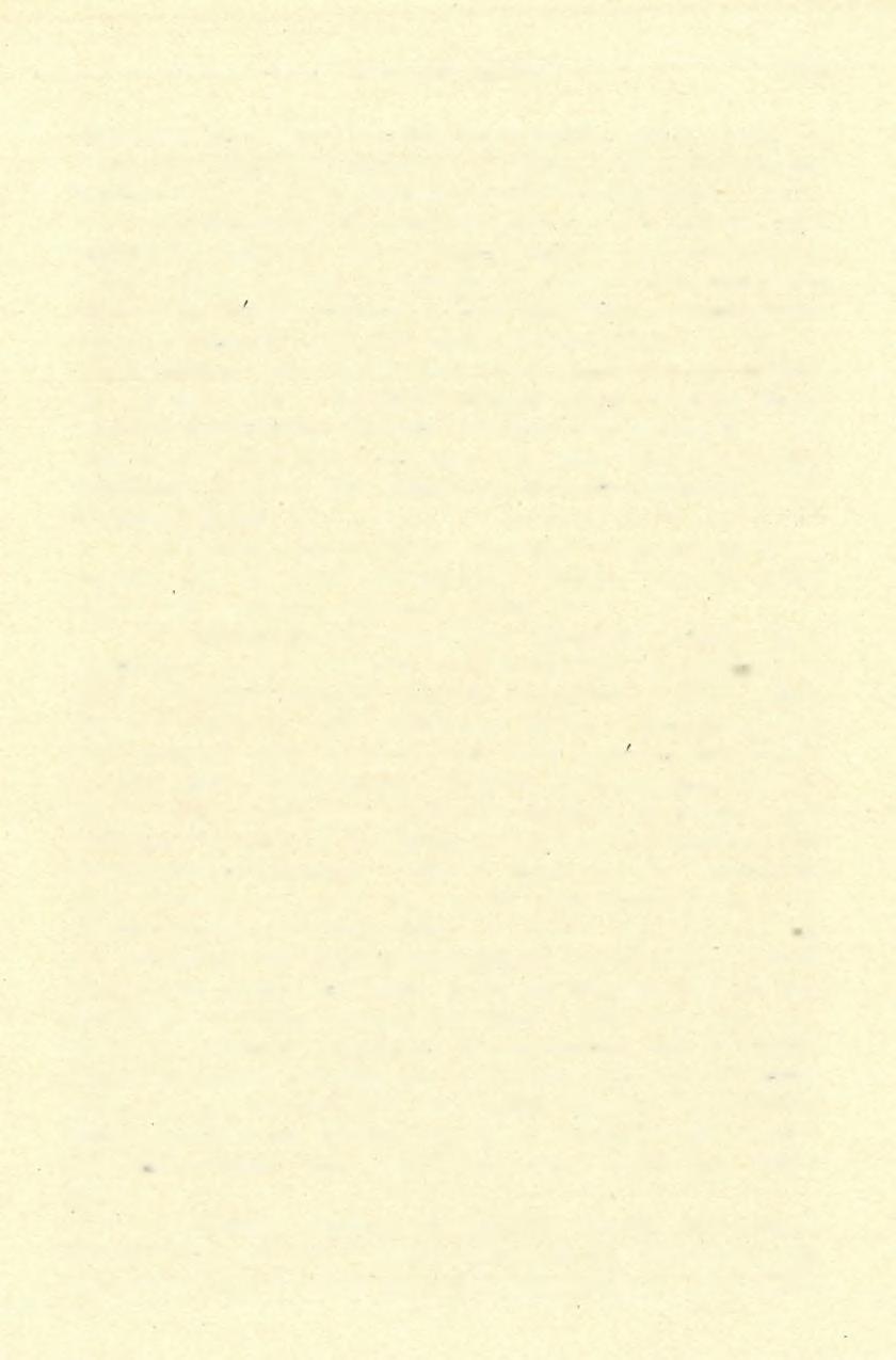 1936-33. ÉVI ÁSATÁSOK 1537 töltésrészleteket először a II. szintig hordattam le, majd a 28 29-es és a 96, 102-es négyszögek területén a IV. szintig 2 nnes próbaárkot mélyítettem le.