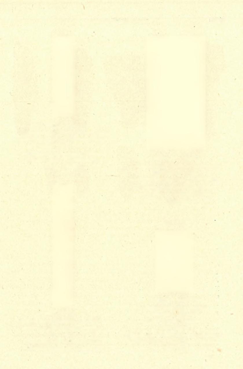1936-38. ÉV I ÁSATÁSOK 1 5 3 9 13.