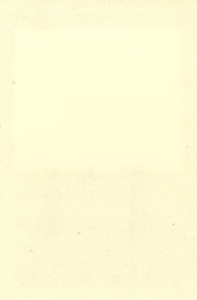 1540 MOTTL 17. ábra. Abb. 17. Kískevélyi fogpengék az elhasználás különböző stádiumában. IstáílóskőUbarlang.