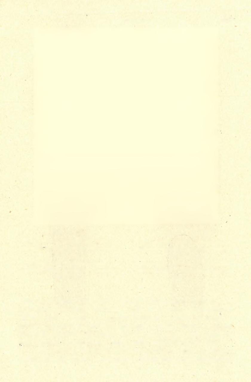 1936-38. ÉVI ÁSATÁSOK 1541 1 8. ábra. Abb. 1 8. Nagy, durván megmunkáít penge. Istáílóskői-barlang.