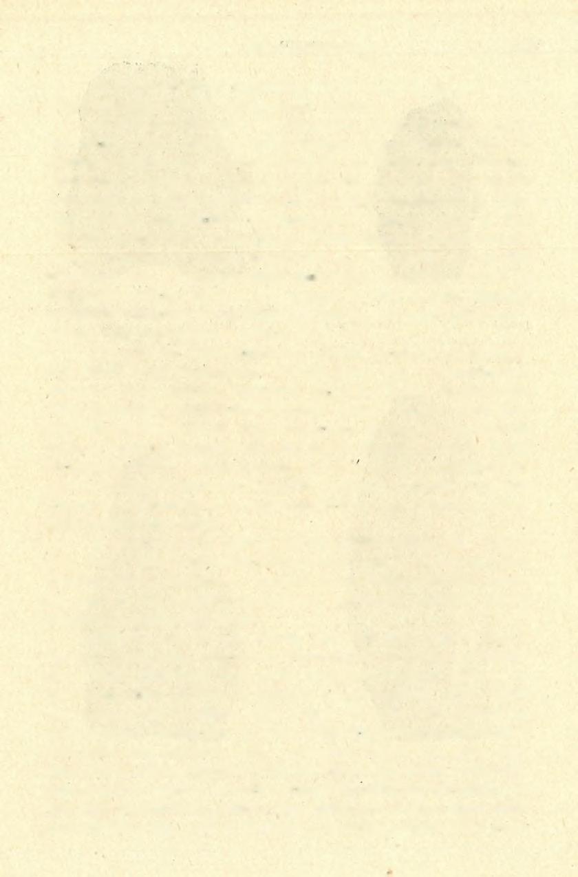 1936 38. ÉVI ÁSATÁSOK. 1515 A Főfolyosó hátsó szakaszában (D) a io., 14., 30., 34. és 43. számú négyszögek II V. szintje került ásatásra.