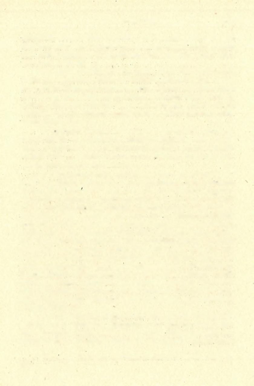 1936-38. ÉV I ÁSATÁSOK 1543 egyetlenegy sincs közöttük. S a á d A. ezzel szemben a barlang hátsó Tűzhelyrétegében egy Gravette-típusú keskeny pengét talált.