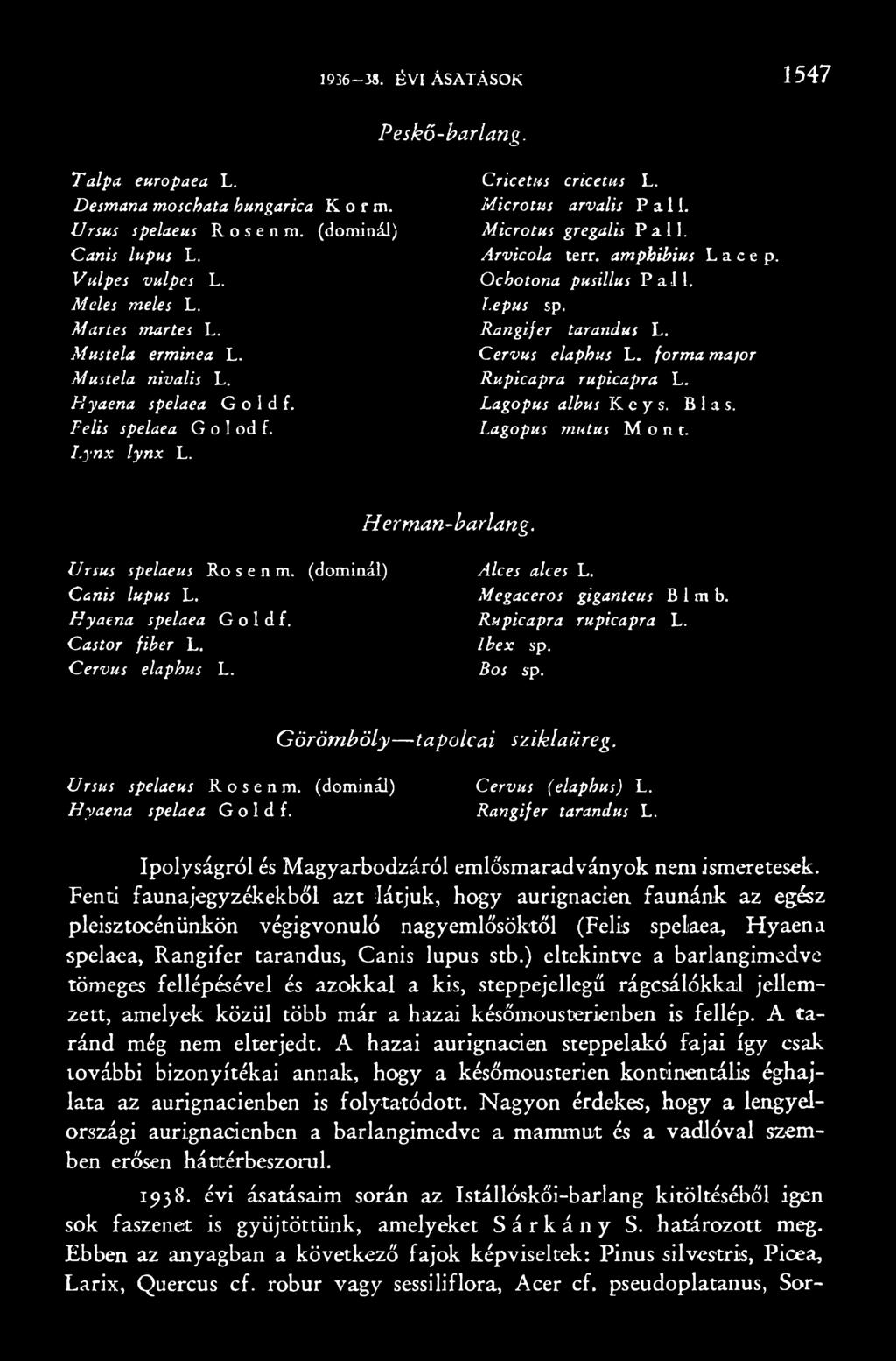 Görömböly tapolcai sziklaüreg. Ursus spelaeus Rosenm. (dominál) Cervus (elaphus) L. Hyaena spelaea G o 1 d f. Rangifer tarandus L. Ipolyságról és Magyarbodzáról emlősmaradványok nem ismeretesek.