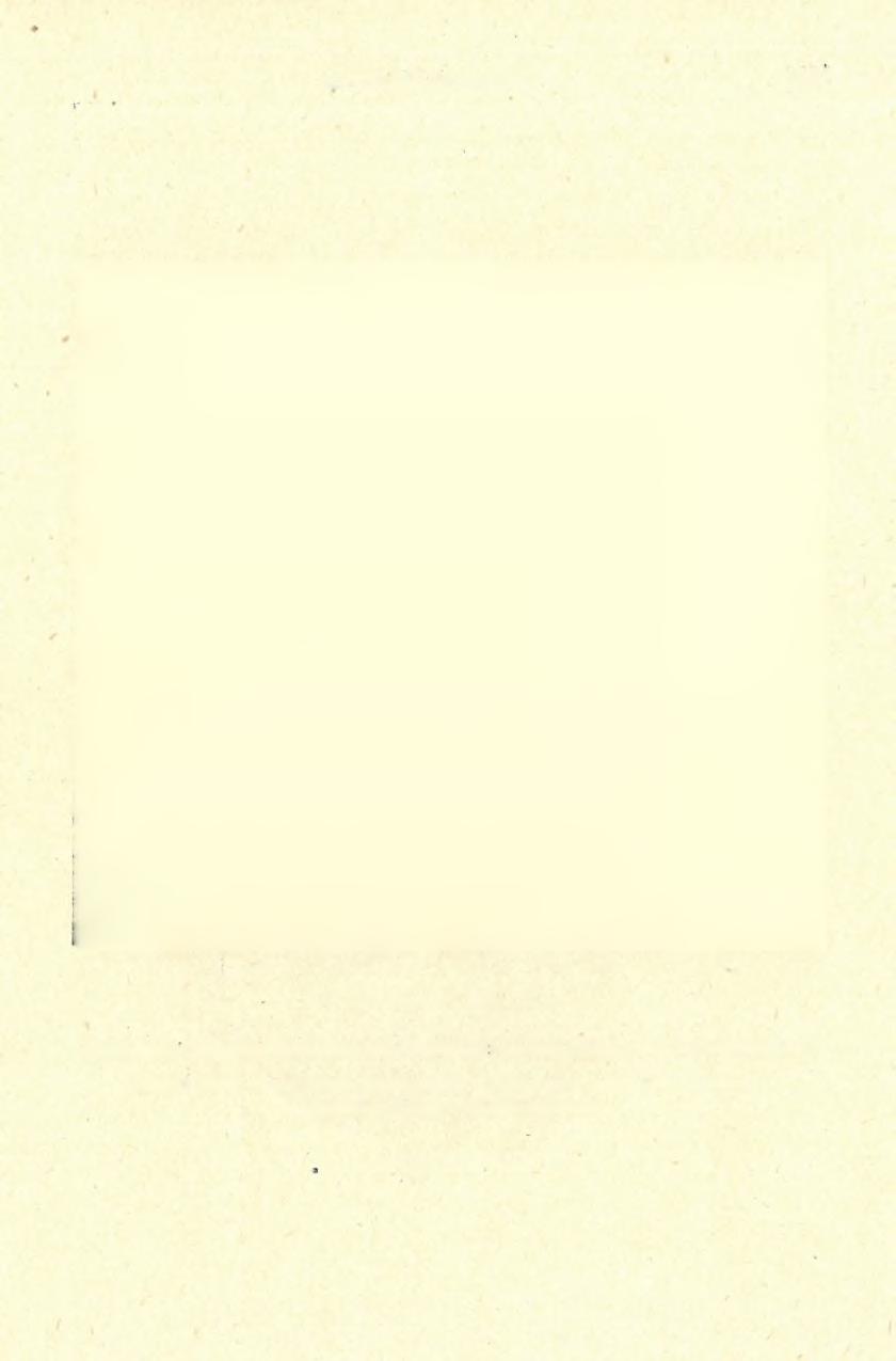 1936-38. ÉVI ÁSATÁSOK 1551 24.