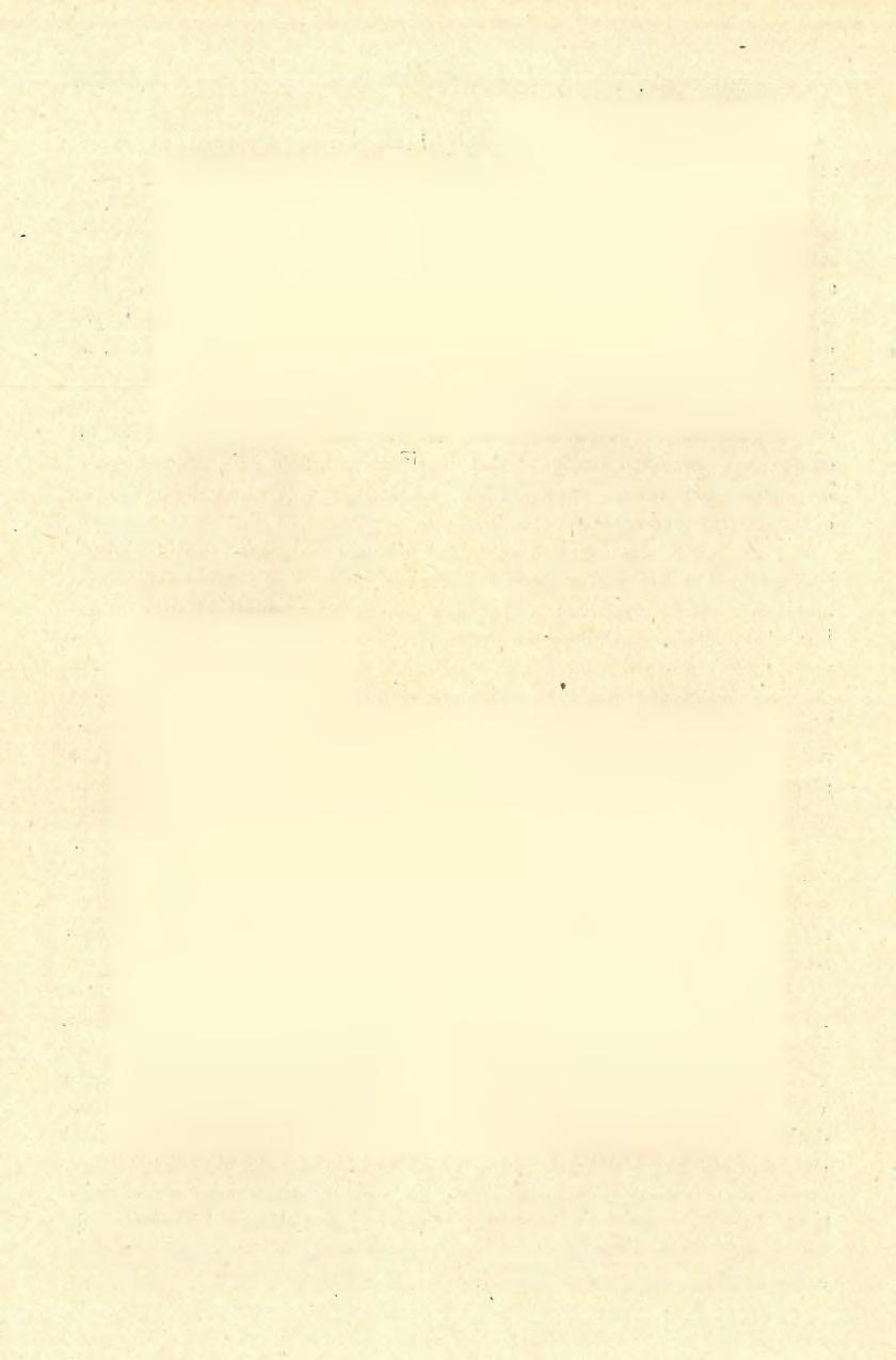 1516 M OTTL 1. ábra. Abb. 1. Dekadens szakóca. Szeleta^barlang.