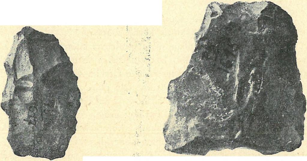 ábra. Abb. 4. Középnagyságú fcalcedonhiegy. Szeíeta«barlang.