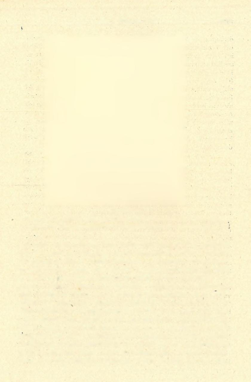 1936-38. ÉVI ÁSATÁSOK 1517 5. ábra. Abb. 5. Durva, széles, mélyített hátú hegy. Szeíeta=bar!ang. Protosoíutréen. Term. nagys.