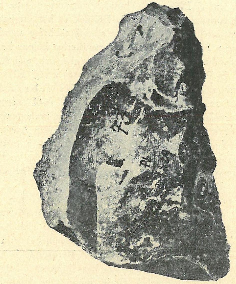 gebbi értekezésében (Barlangkutatás II. k. 1914.