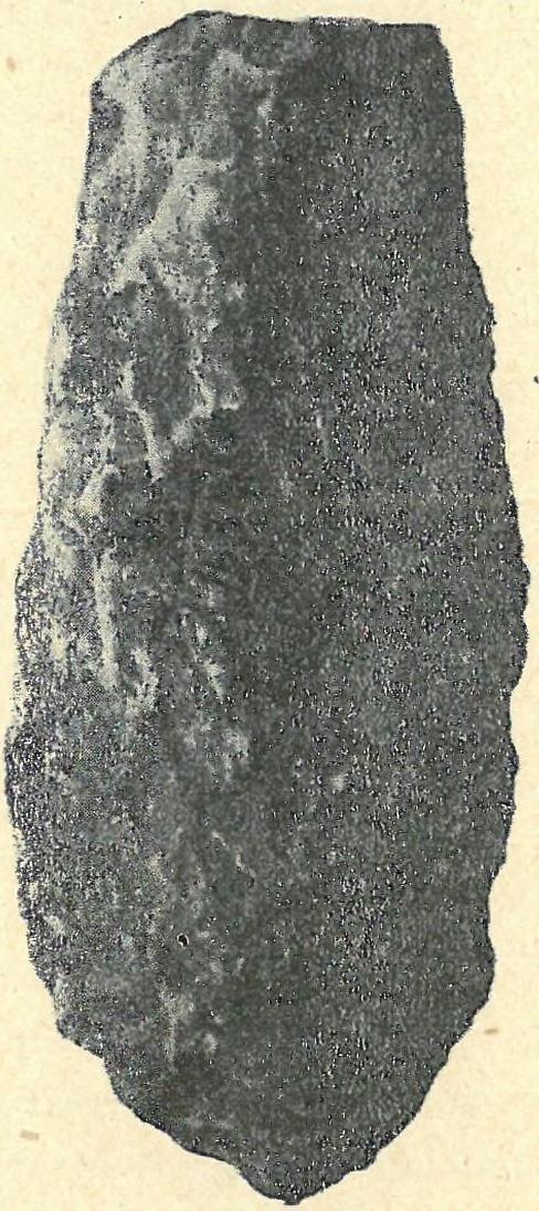 felszínre hozott csontokat. Hillebrand J. felfogásához így mindenképen csatlakozom. A protosolutréen rétegekből az 1936.