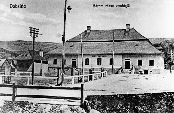 Zaumienil som si ujať sa tejto úlohy, dať nakresliť niekoľko obrazov a podrobnejšie vás, širokú verejnosť, oboznámiť s týmito perlami gemerskej prírody.