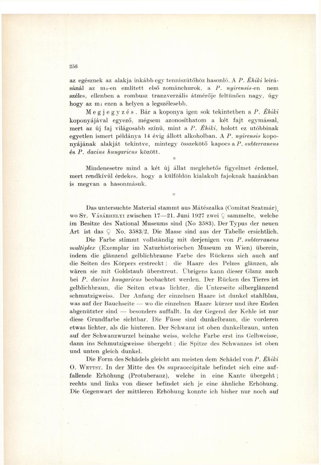 az egésznek az alakja inkább egy teműszütőhöz hasonló. A P. Éhiki leírásánál az mi-en említett első zománchurok, a P. nyirensis-en nem széles, ellenben a rombusz tranzverzális átmérője feltűnően nagy.