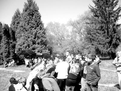 2010. május Zselízi Hírmondó 5 A parkon át Április 22-én, csütörtökön délelőtt a park a gyerekeké és az i úságé volt.