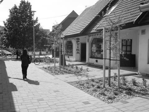 máj 2010 Želiezovský spravodajca 3 Plánovaná vodná elektráreň predstavená verejnosti Dňa 27.