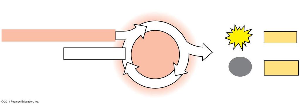 A glükóz bontásának energiamérlege Bemenet Glükóz Glycolysis