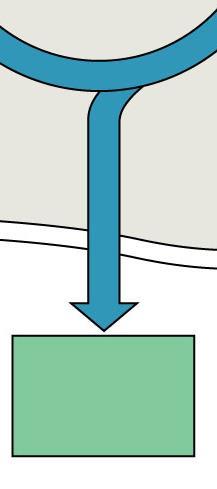 H 2 O CO 2 Fény