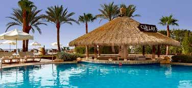 EGYIPTOM / SHARM EL SHEIKH www.hilton.