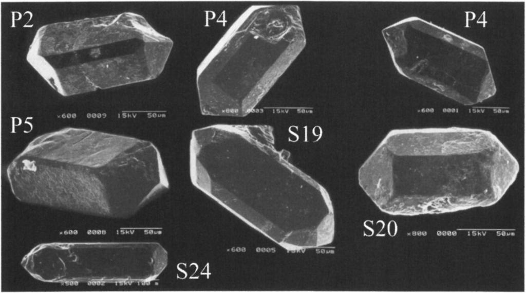 LA - alkalinity index; IT - temperature index, aluminous leucogranites (1), (sub)autochtonous monzogranites-granodiorites (2), intrusive aluminous monzogranites-granodiorites (3),
