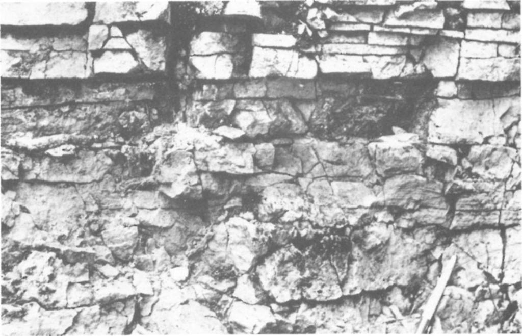 A Rezi Dolomit Formáció lemezes kifejlődése a Sümegtől D-re lévő