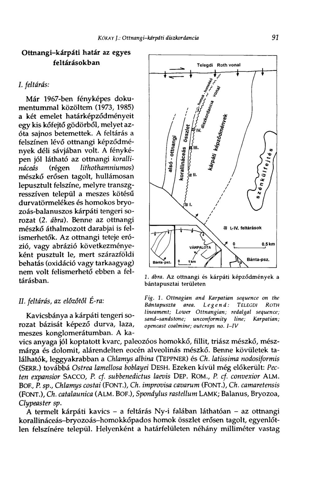 KÔKAY J.: Ottnangi-kdrpdti diszkordancia 91 Ottnangi-kárpáti határ az egyes I.