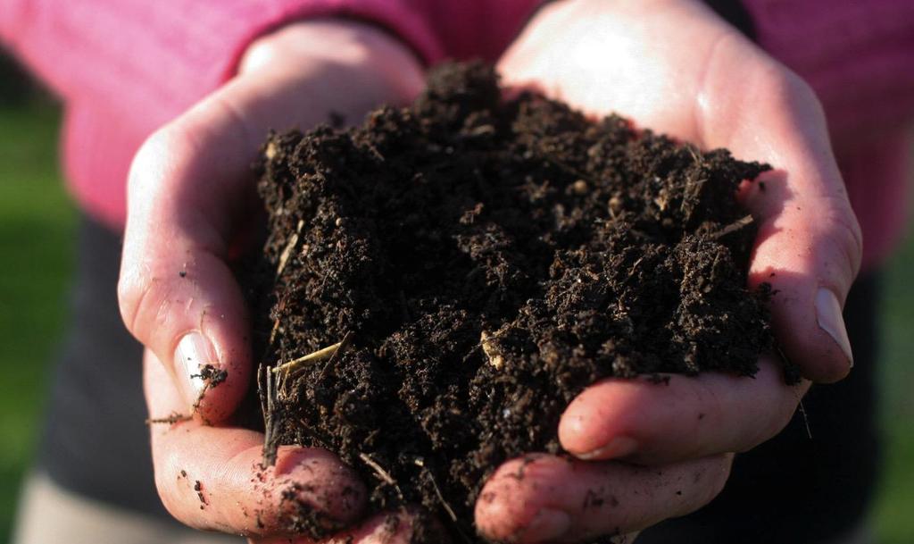 A termés mennyiségét 60%-ban a talaj