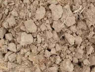 talaj tulajdonságokká - Egy talajtani szakértő a háttértudásának