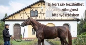 Magyarországi tájházak