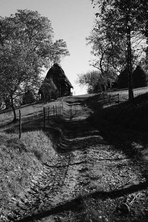 IULIE-DECEMBRIE 2015 63 Case triste în Pârâul de Pãdure 1 Drumeþie în Chioar.